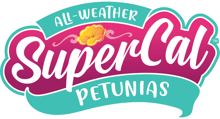 SuperCal Petunia